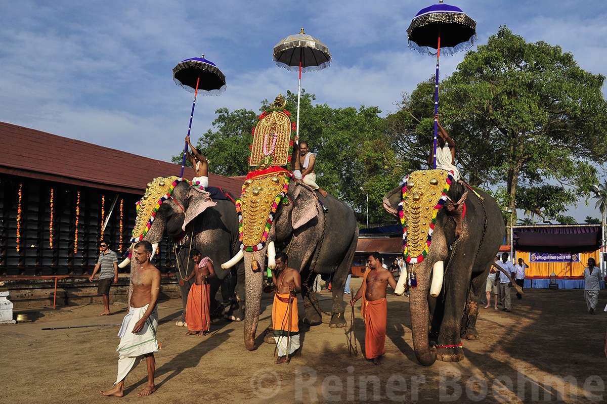 Siva temple festival, Ernakulam Reiner's Travel Photography